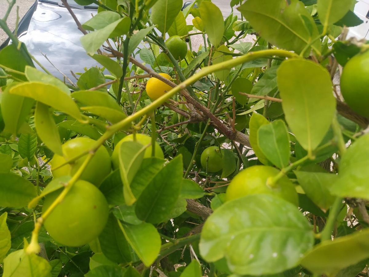 Apartmani Trubi 2 Vodice Dış mekan fotoğraf
